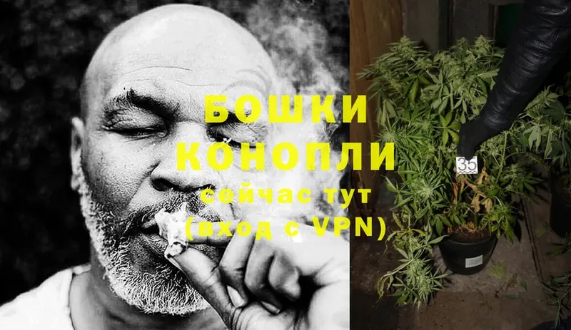 Бошки марихуана LSD WEED  сколько стоит  Новошахтинск 